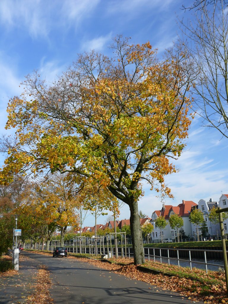 Oldenburg Kanalstraße