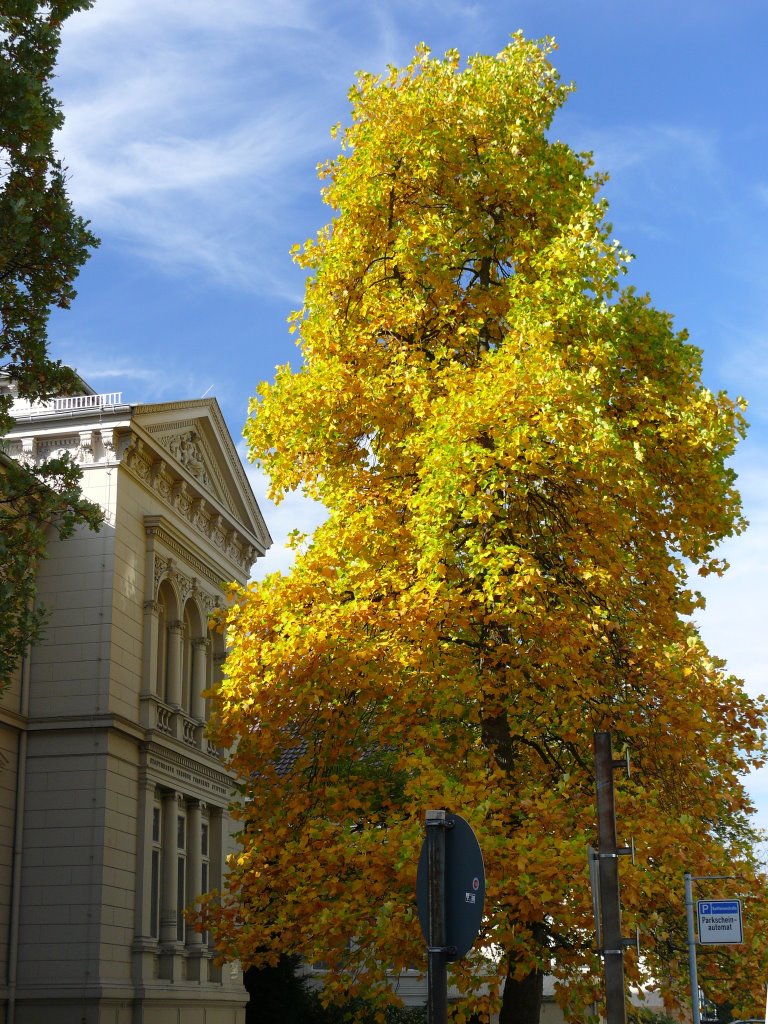 Oldenburg Raiffeisenstraße Rückseite Stadtmuseum