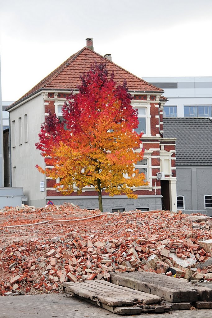 Oldenburg Bleicherstraße Rosenstraße Abbrucharbeiten (November 2009)