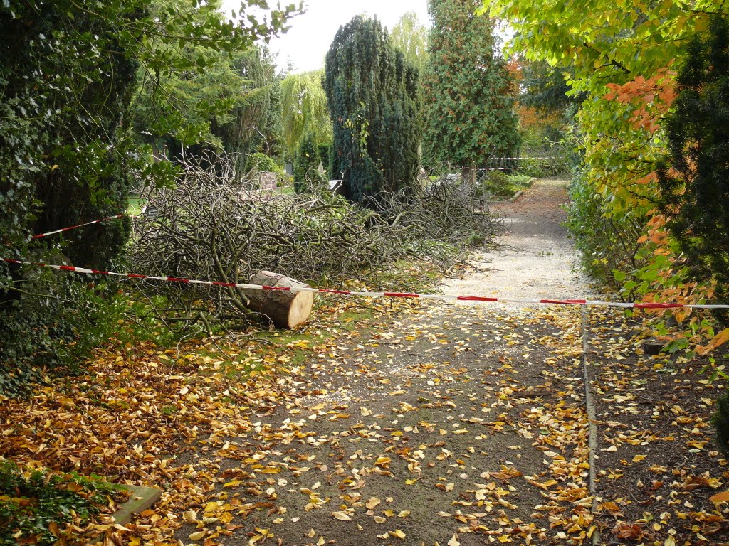Gertrudenfriedhof Oldenburg (Oktober 2008)