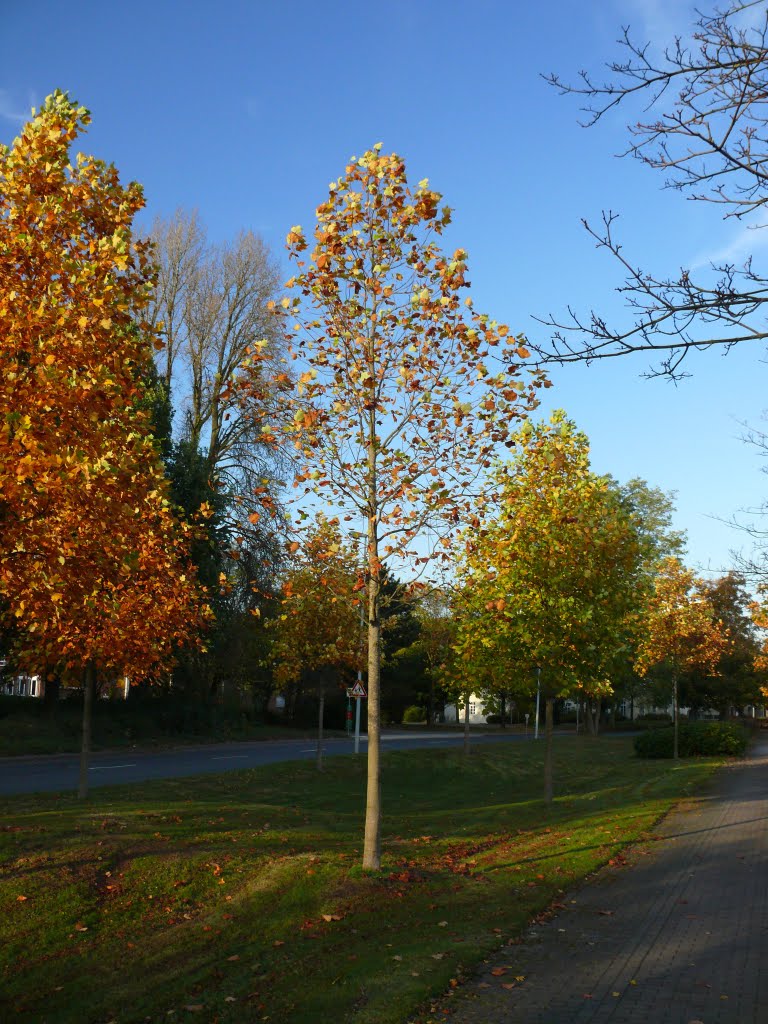 Oldenburg Westfalendamm