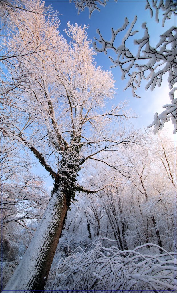 ... winter morning ...