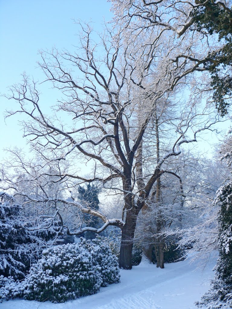 Winter im Schloßgarten