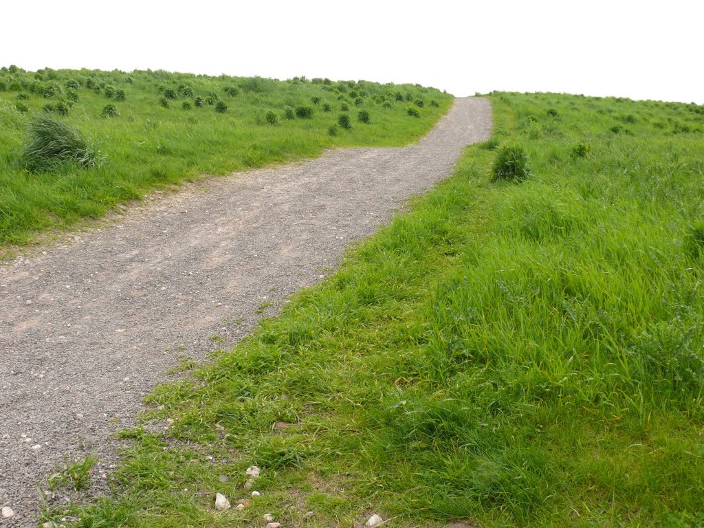 Climbing the former waste disposal site