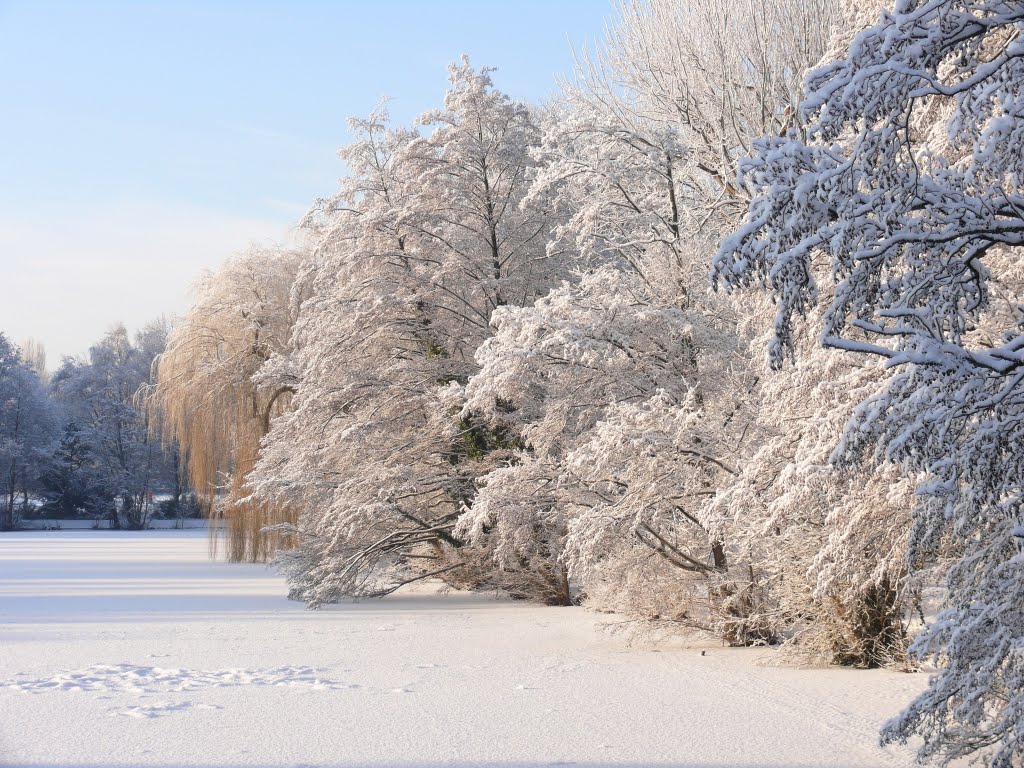 Frozen pond