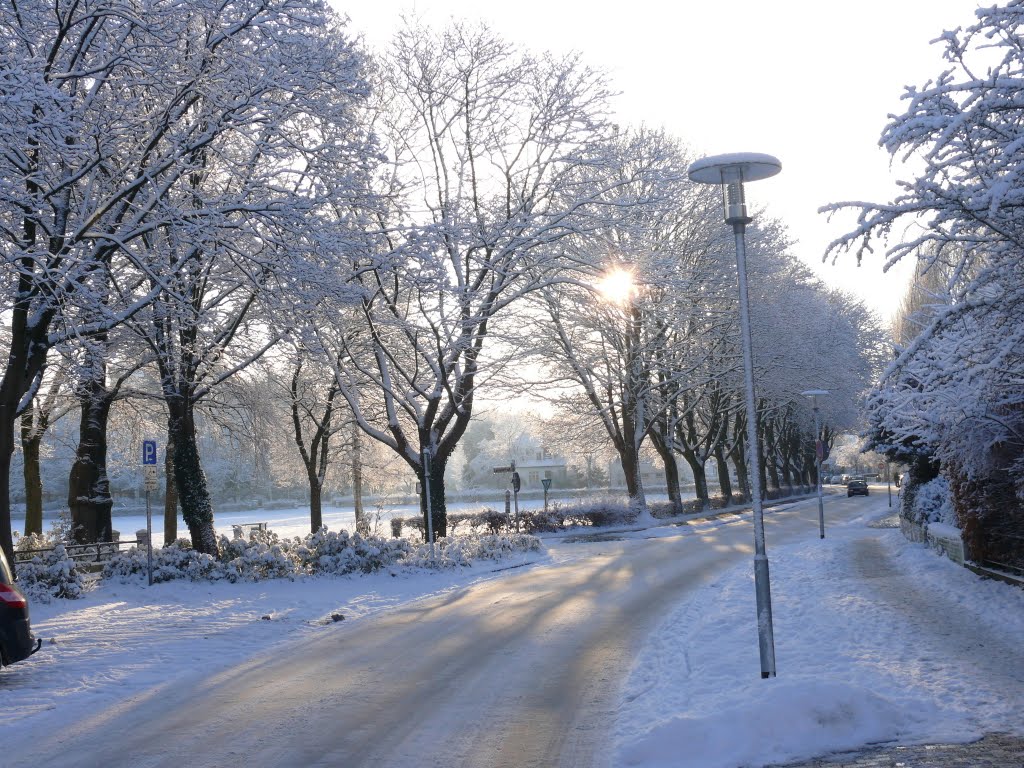 Sinking winterly sun