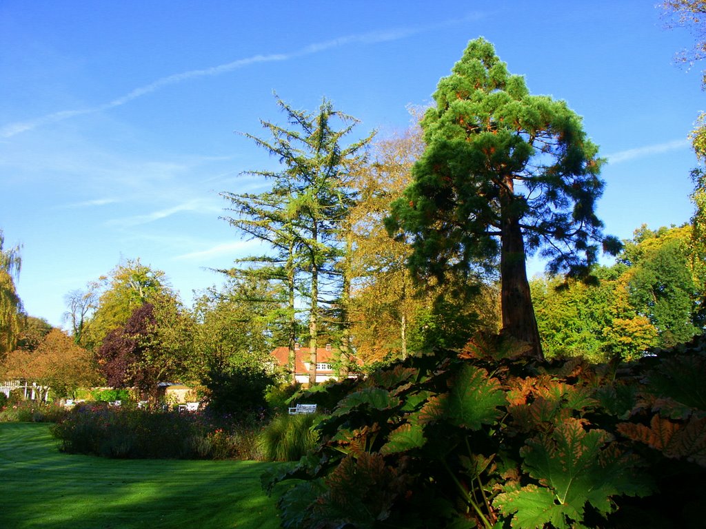 Schlossgarten Oldenburg
