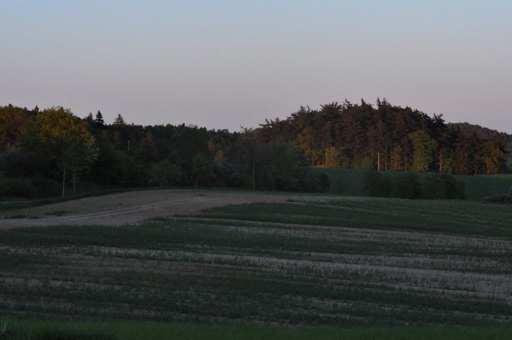 Letzte Sonnenstrahlen tanken