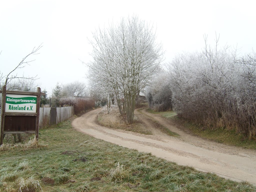 Weg in die Gartenanlage Röseland