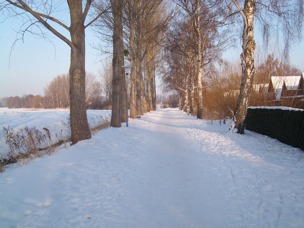 Weg zum Teterower See