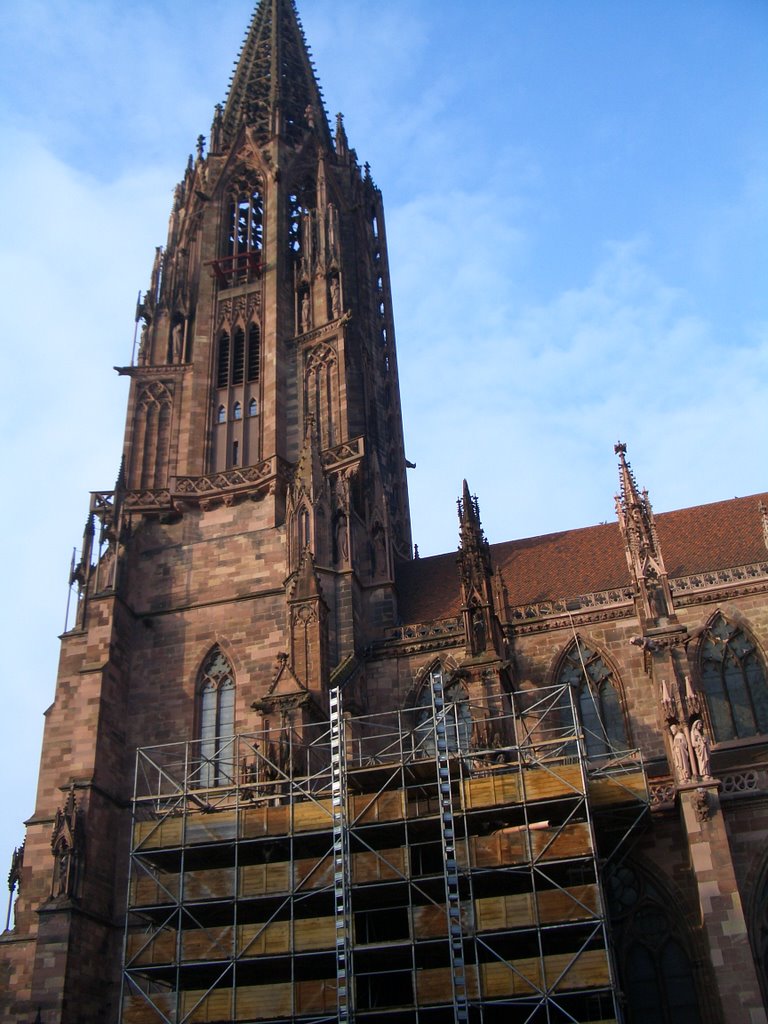 Munster, Freiburg
