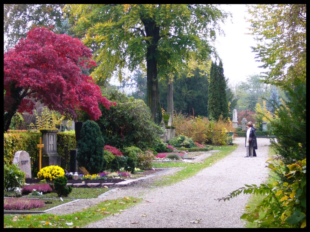 Freiburg, Hauptfriedhof ¦ pilago