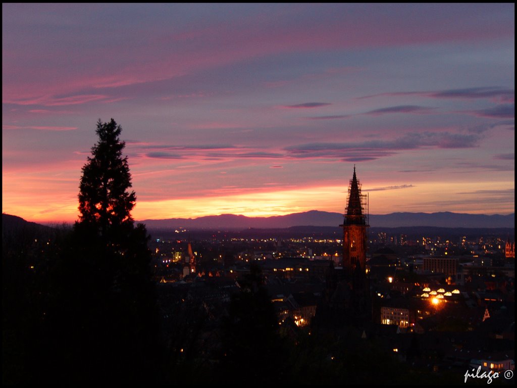 Freiburg, 17:46 ¦ pilago