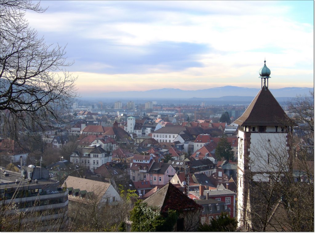 Blick über Freiburg von Greiffenegg Schloßberg Café ¦ pilago