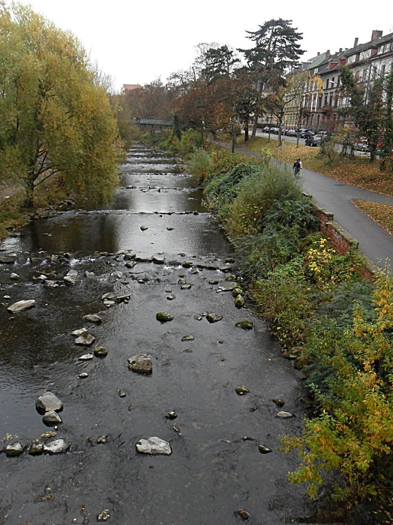 Freiburg - Dreisam - Spaziergang im November -