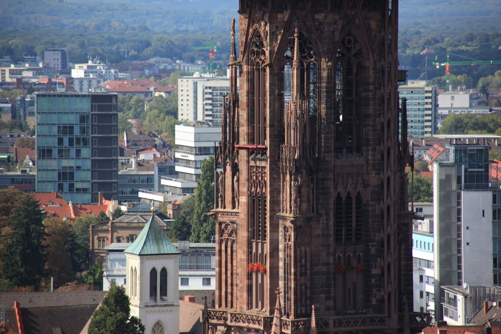 Münster zu Freiburg, ohne Baugerüste ;-)