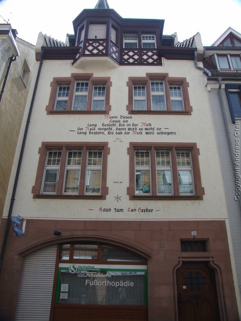 Freiburger Haus