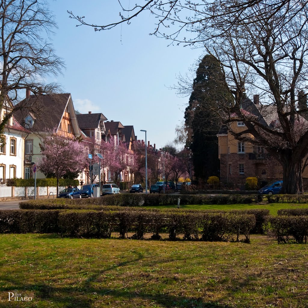 Freiburg-Wiehre, Gotheplatz und Maximilianstraße ¦ pilago