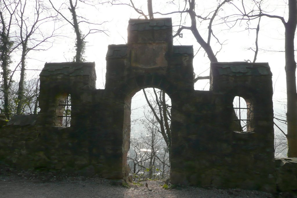 Eingang zum Weinberg am Schloßberg Freiburg im Breisgau