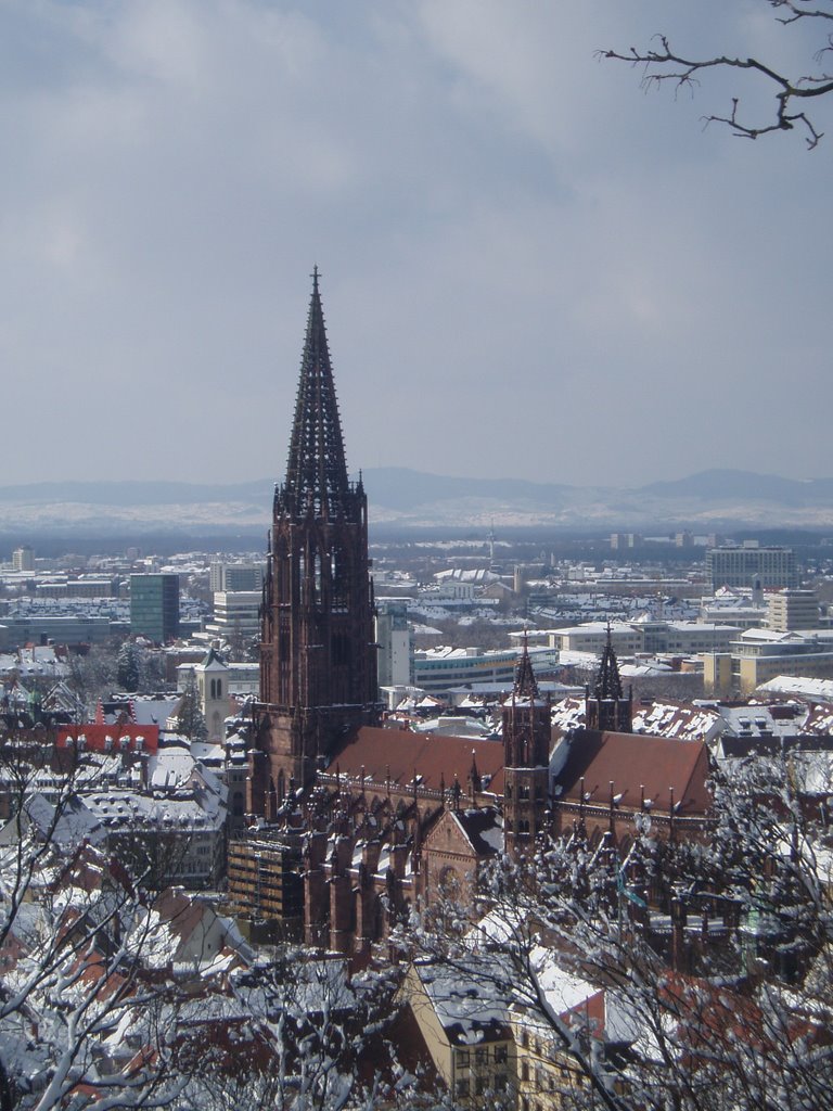 Schon mehrere Male erlebt, dass die Erde in Freiburg bebt!