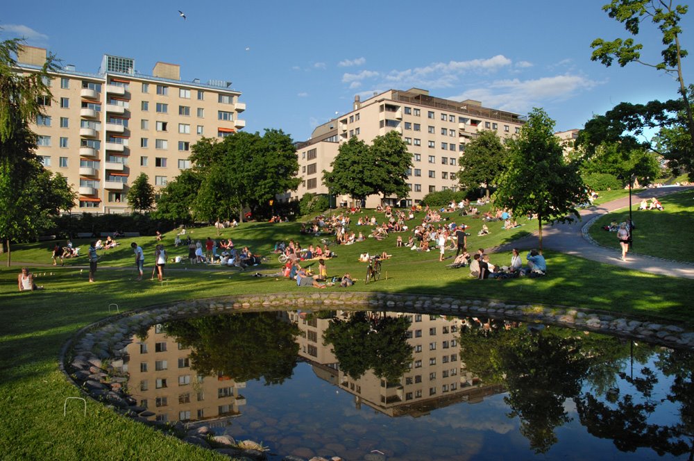 Koff Park, June 2009