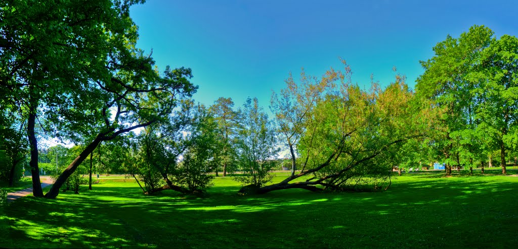 Park near the Stadium, PANORAMA, 4.6.2011, 8:51