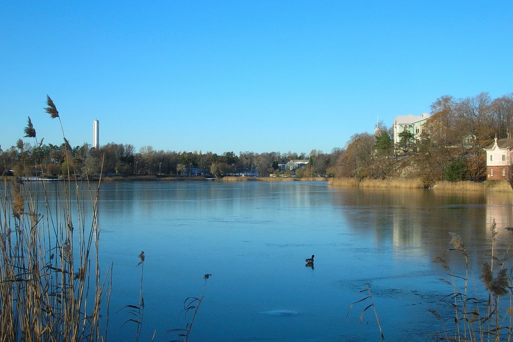 Töölönlahti in November