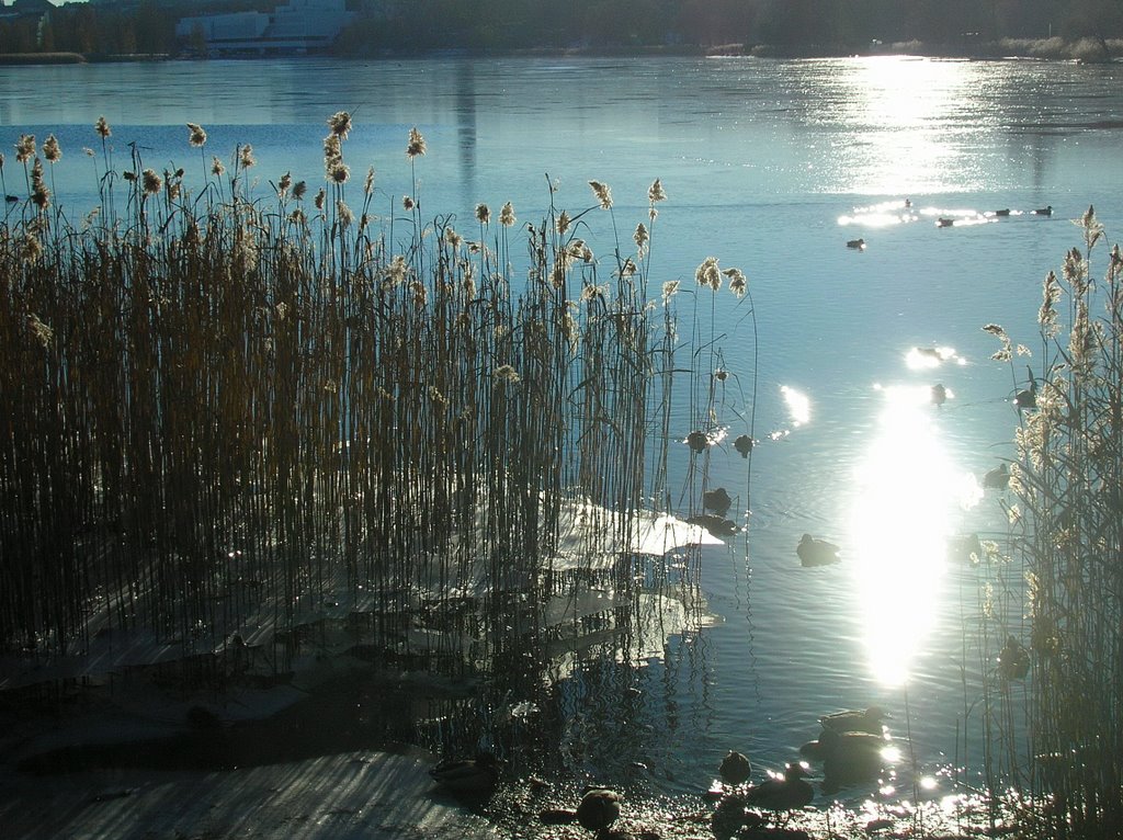 Töölönlahti, Finlandia House in the background
