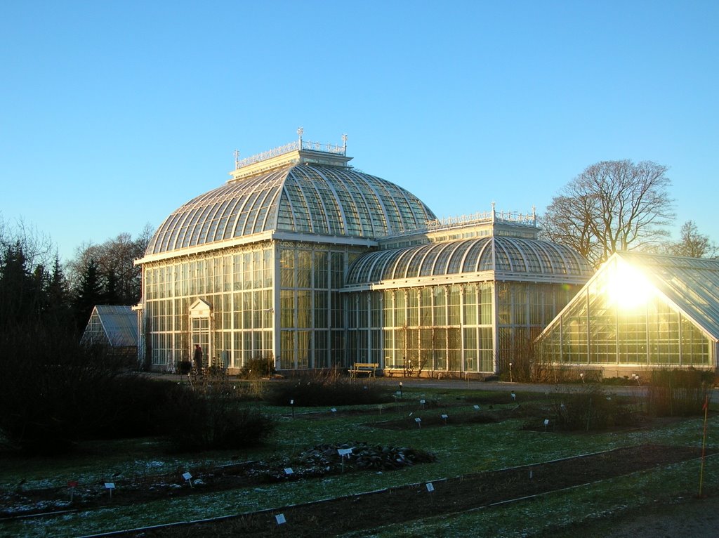 The Palm House