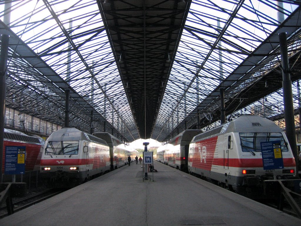 Helsingfors | Helsingin rautatieasema - Mainstation - Train Tracks