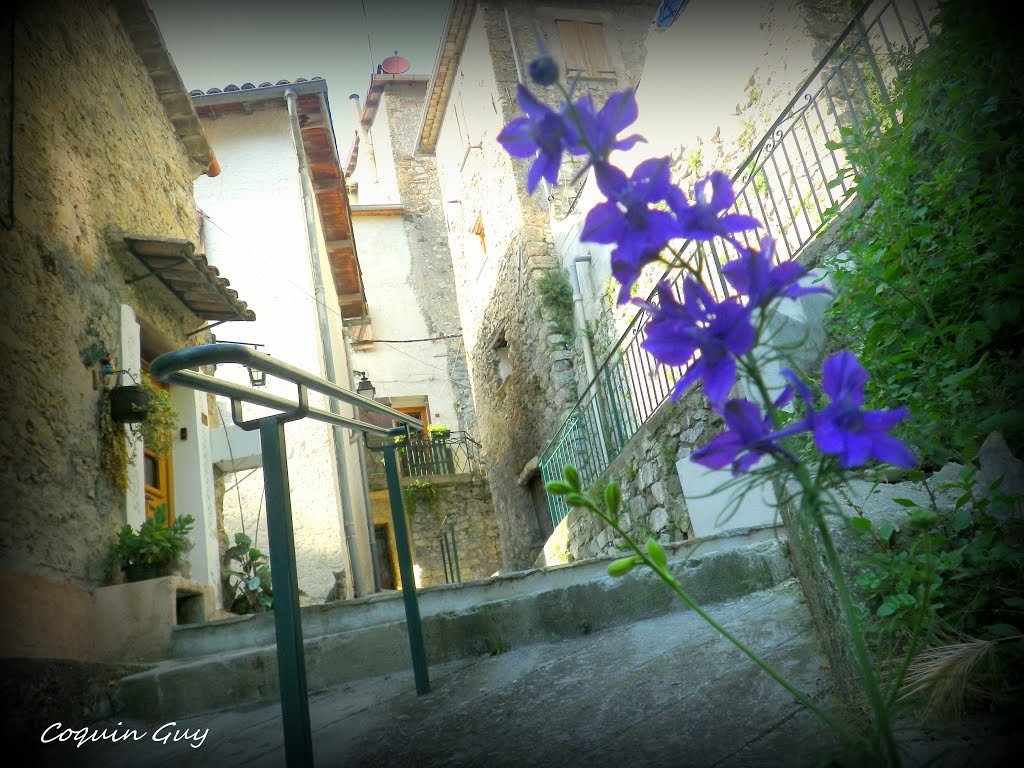 Ruelles de Malaussène