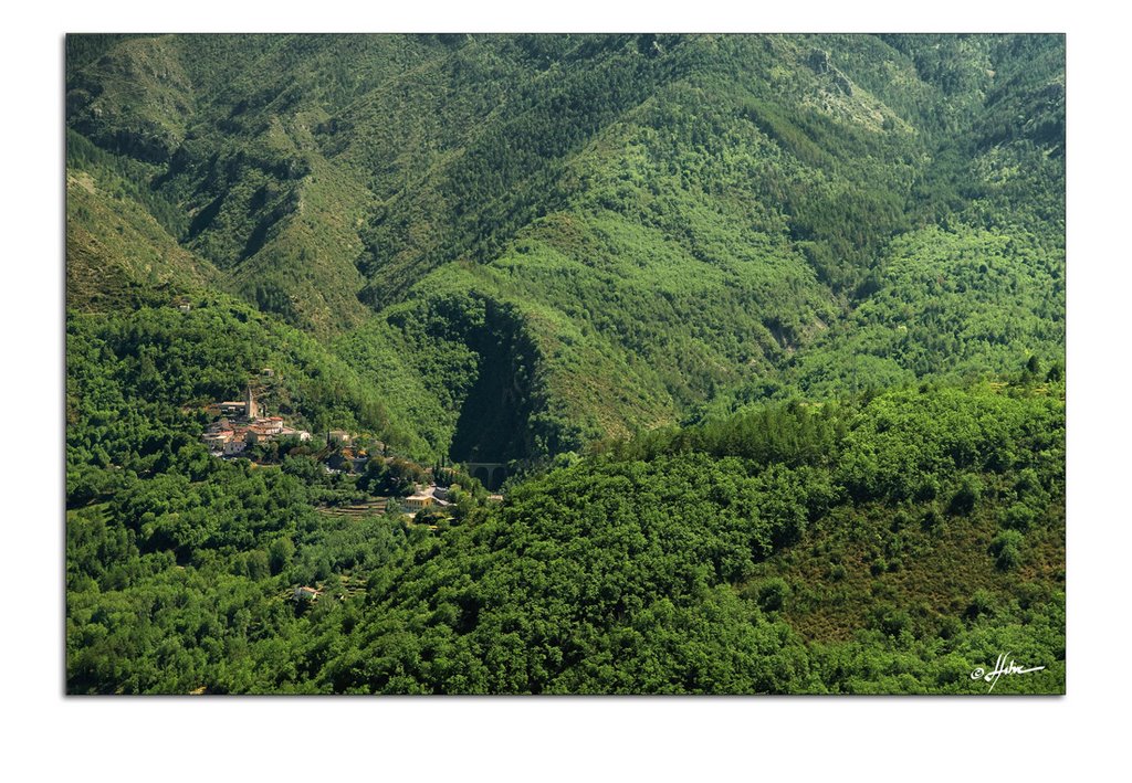 Malaussène