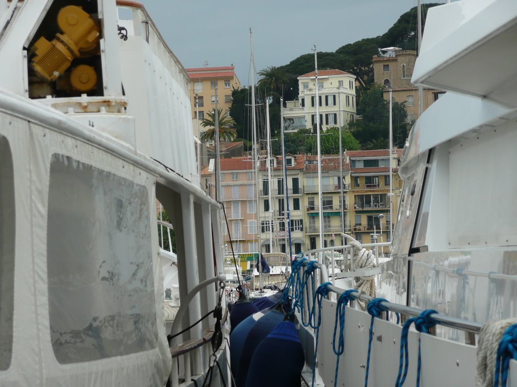 Port w Cannes