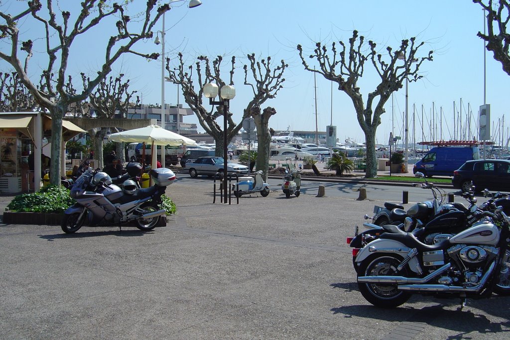 Harbour @Cannes