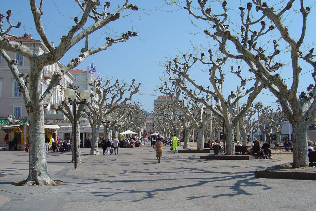 Cannes