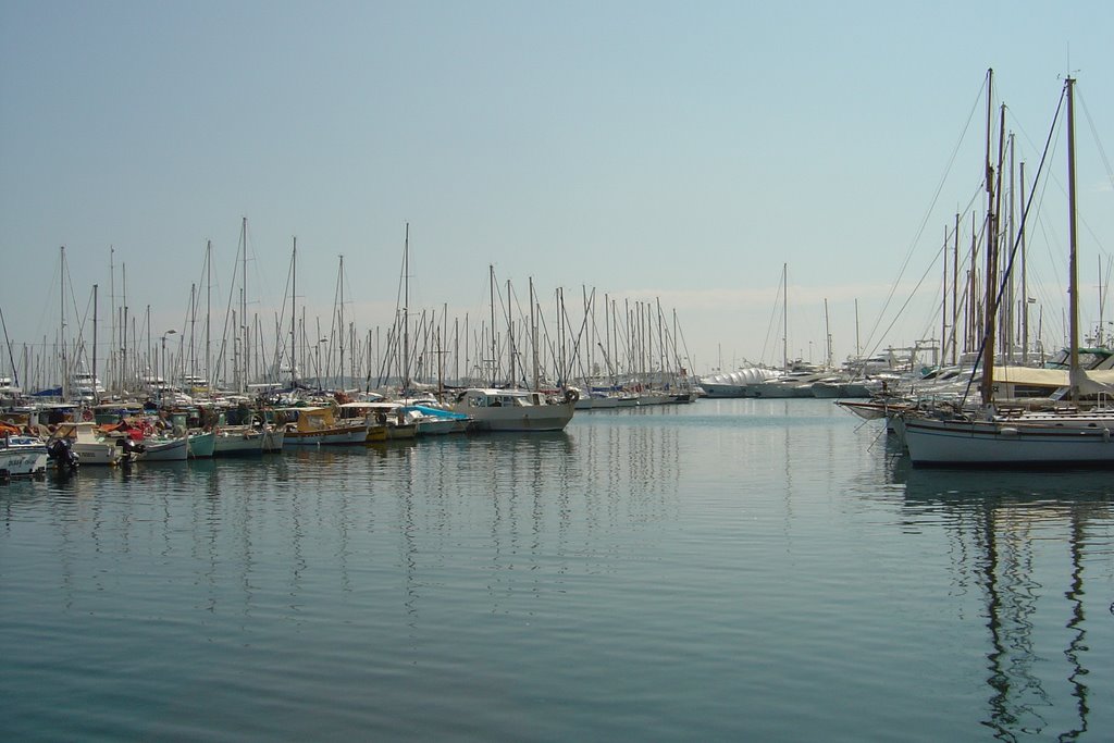 Harbour @Cannes