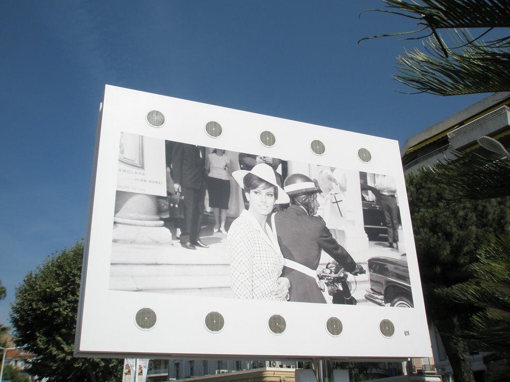 CANNES ( a propos du festival)