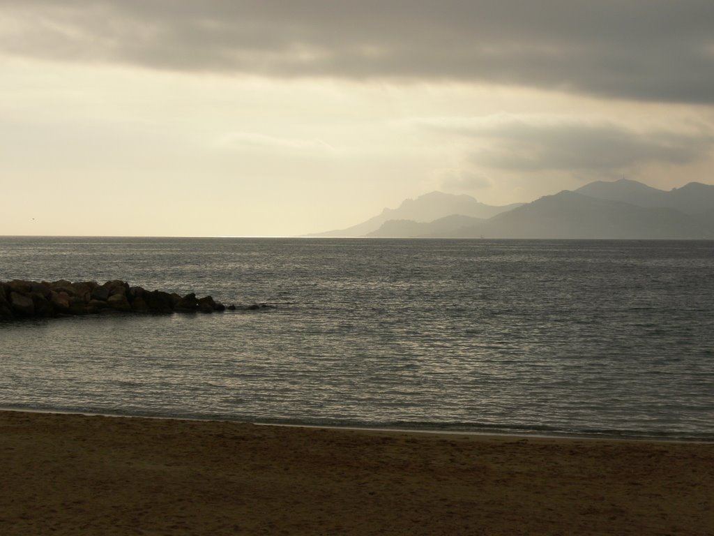 Cannes (Alpes-Maritimes)