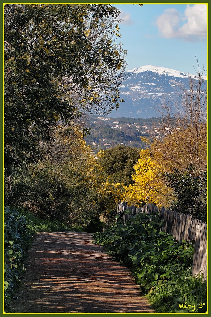 On Va Sortir ... à la Croix des Gardes - 13 (Le Puy de Tourrettes, haut de 1,268 kilomètre)