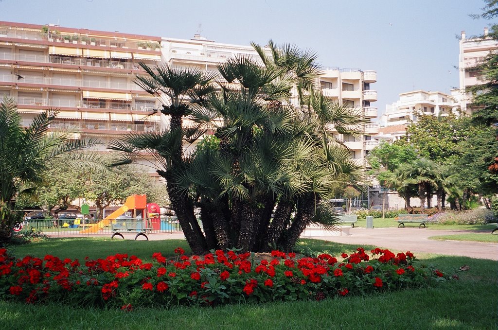Park