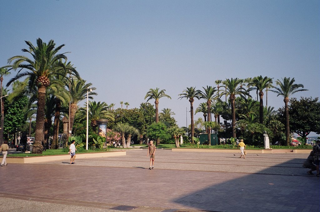 Tér / Square