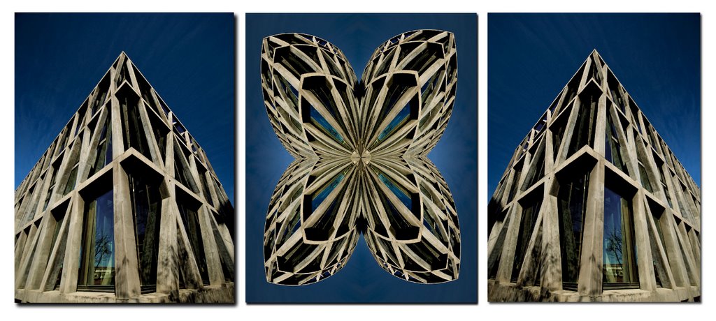 Le Pavillon Noir (archi: Rudy Ricciotti)