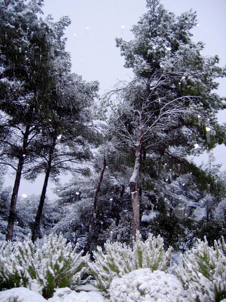 Winter in Aix