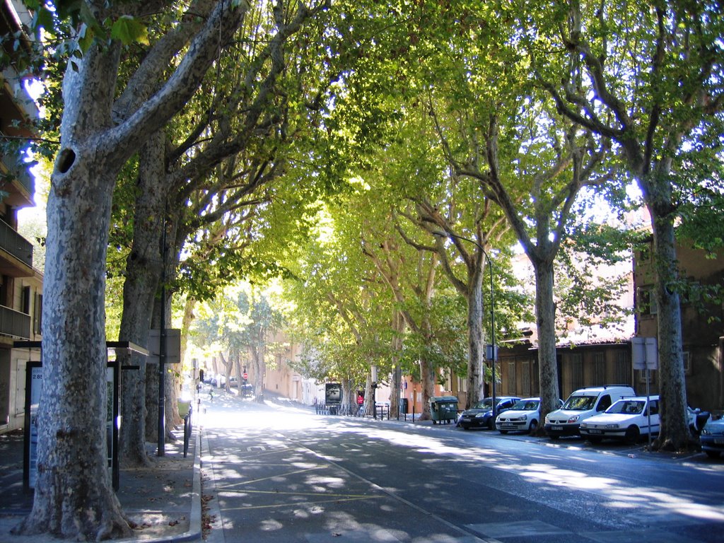 Cours Saint Louis