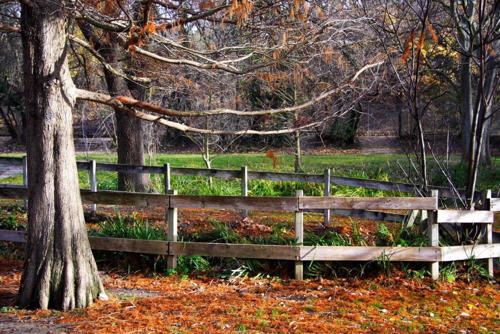 Parc de la Torse