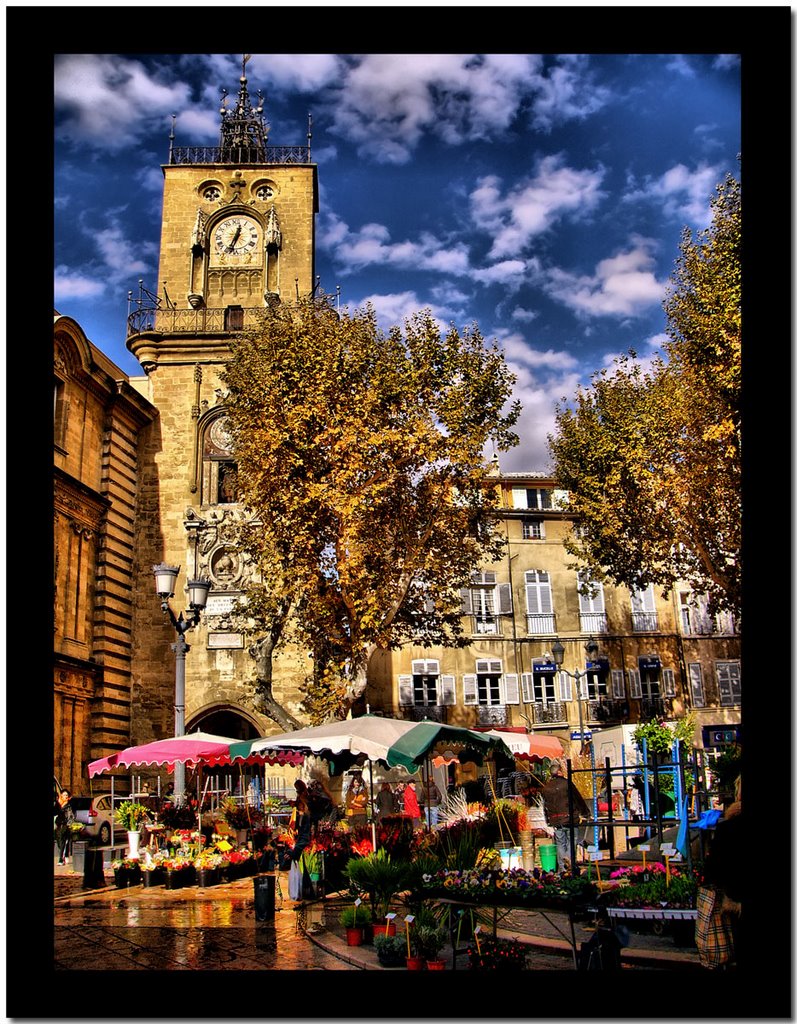 Aix en Provence, le marché aux fleurs place de lhotel de ville