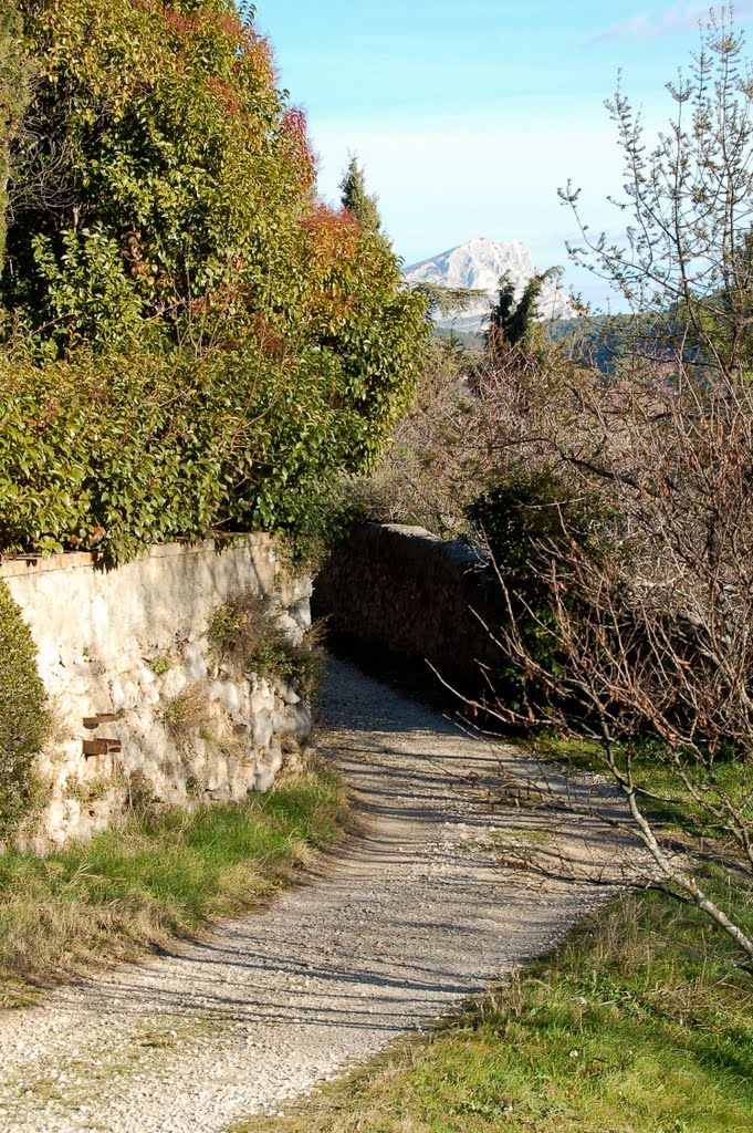 Le Chemin vers la Butte des Trois Moulins