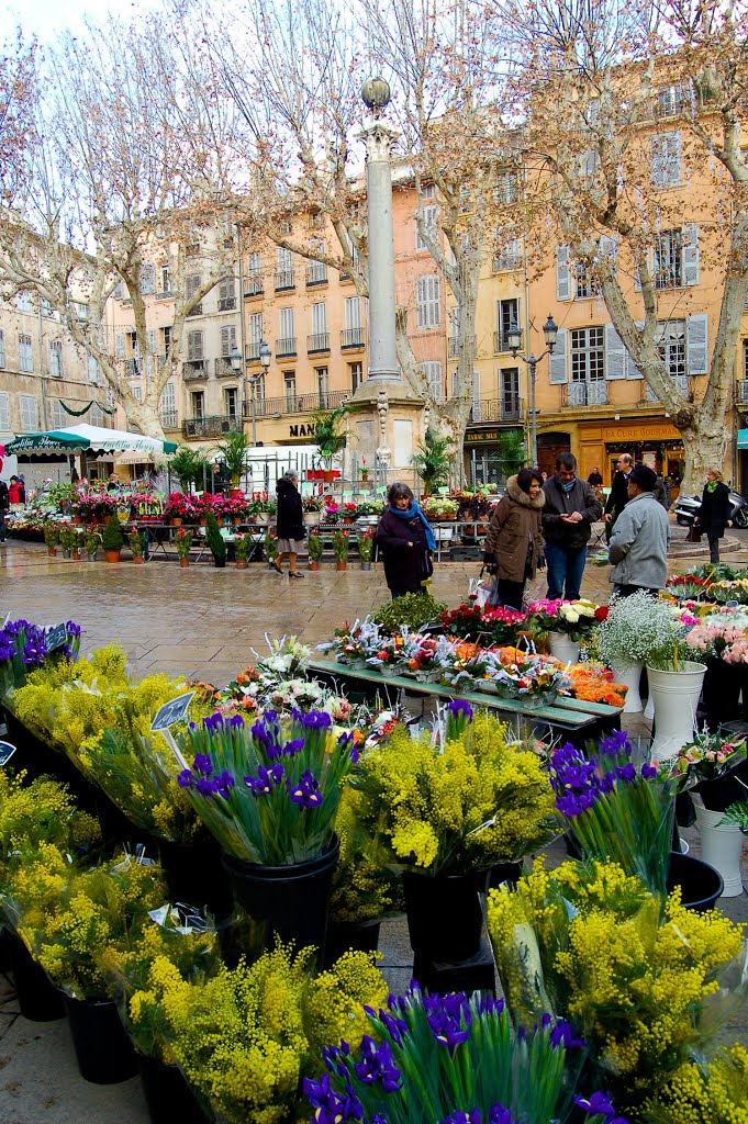 Le Marché aux Fleurs d’Aix-en-Provence
