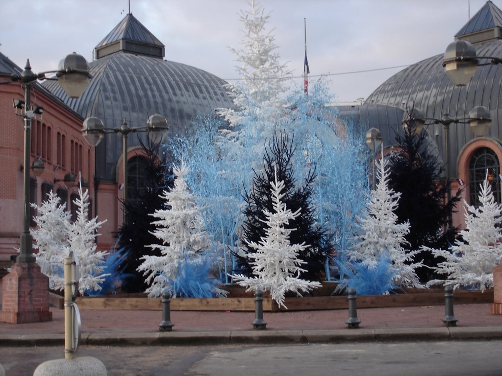 Mairie de Vitry sur Seine(Noel 2005)