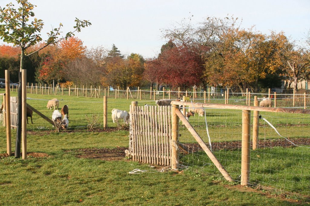 Le parc des lilas  en2006